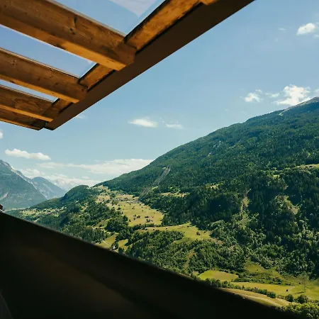 Ausblick